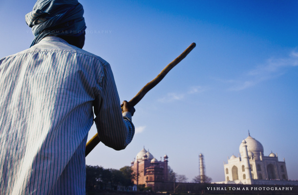 Photo of Taj Mahal - poetry in white. 12/22 by vishaltomar53