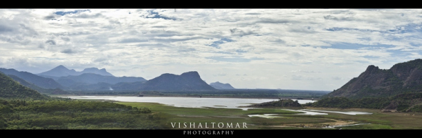 Photo of KODAIKANAL - Unveiling the valley of blue mist. 1/23 by vishaltomar53