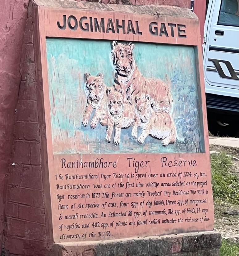 Photo of Tiger Safaris in Ranthambore National Park | Travelarks by Brinda Rao