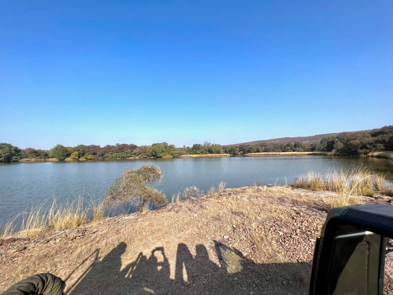 Photo of Tiger Safaris in Ranthambore National Park | Travelarks by Brinda Rao