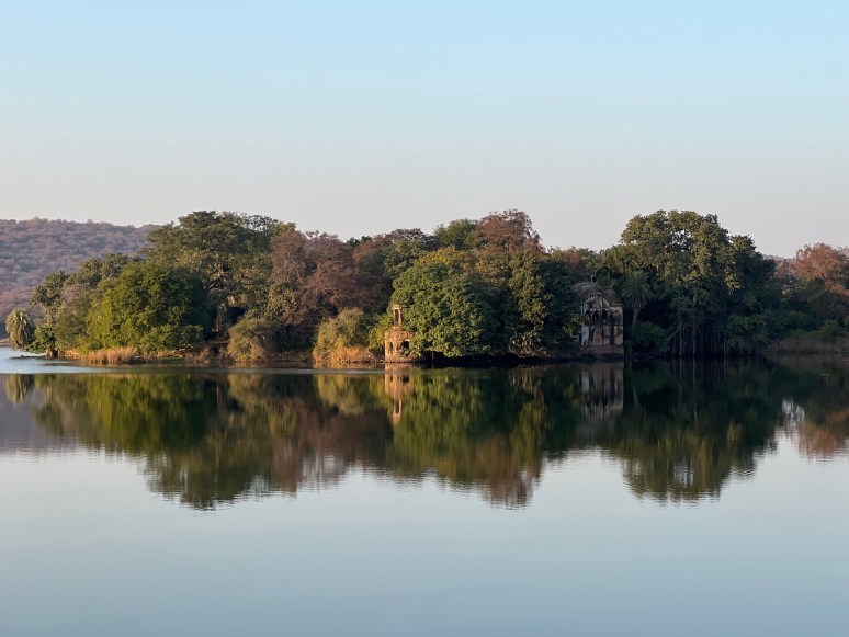 Photo of Tiger Safaris in Ranthambore National Park | Travelarks by Brinda Rao