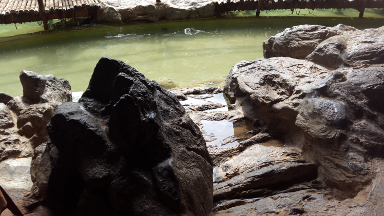Photo of Experience the Nature at Unique Cave Resort: Guhantara 6/7 by madhu sharma