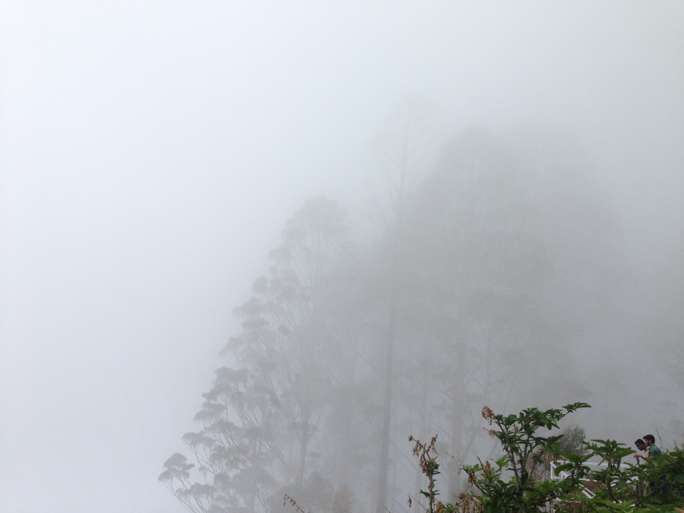 Photo of A hamlet amidst the clouds - Vattakanal 5/9 by swathi jois