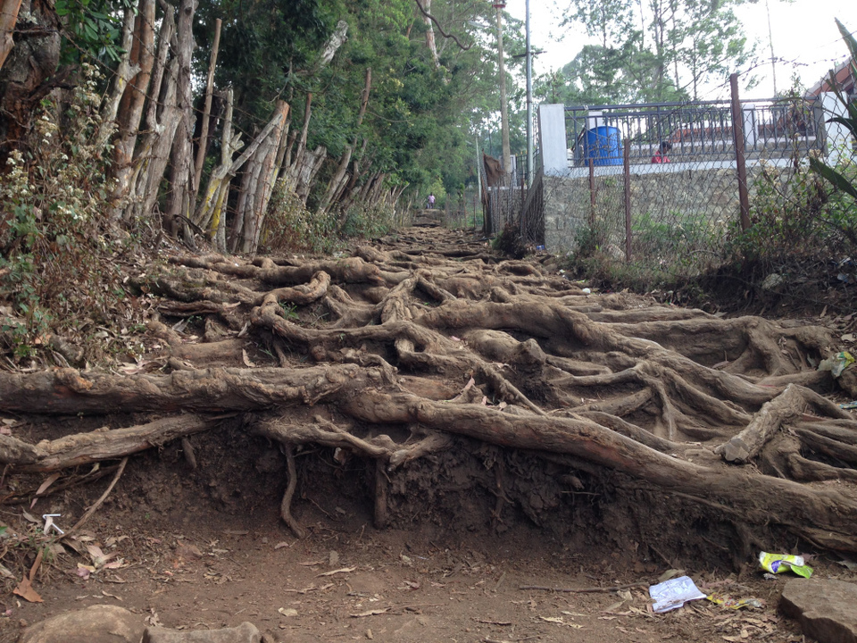 Photo of A hamlet amidst the clouds - Vattakanal 6/9 by swathi jois