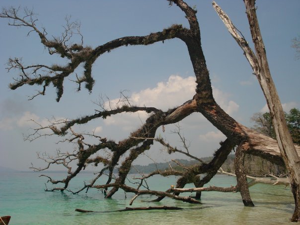 Photo of 50 shades of seas in the Andamans 7/22 by Tamanna Tripathy