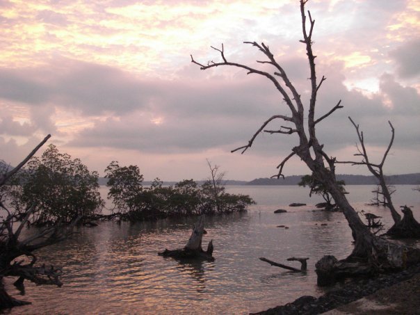 Photo of 50 shades of seas in the Andamans 14/22 by Tamanna Tripathy