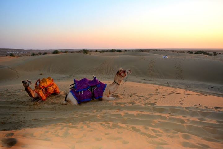Photo of Jaisalmer - the golden Rajasthan. 1/5 by Mamta Taliwala
