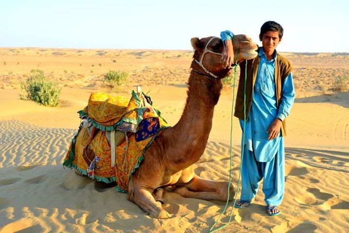 Photo of Jaisalmer - the golden Rajasthan. 2/5 by Mamta Taliwala