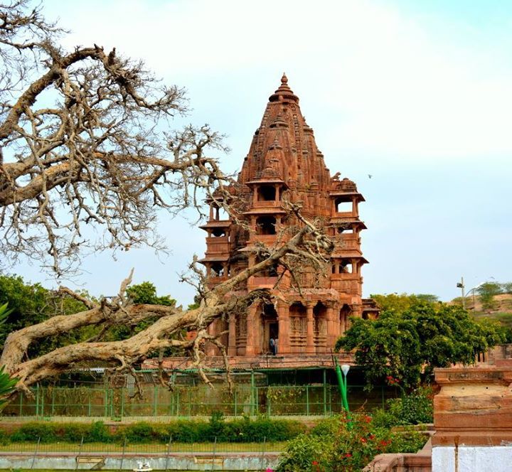 Photo of The magnificent Jodhpur 4/5 by Mamta Taliwala