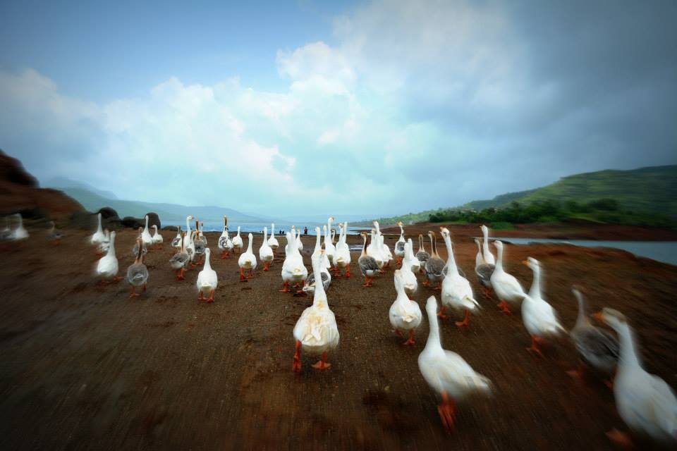 Photo of Lonavala like never before. 7/12 by Mamta Taliwala