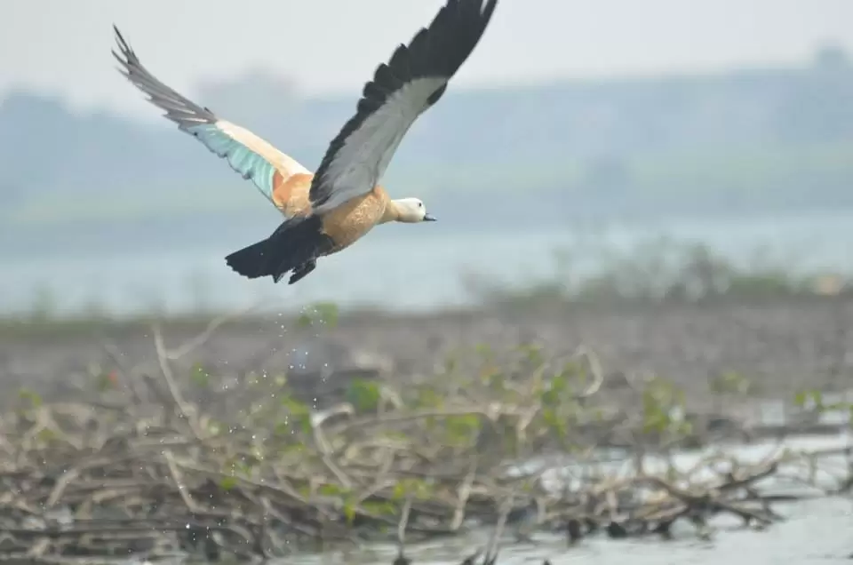 Photo of Palasdev, Maharashtra, India by Sarthak Anil Phatak