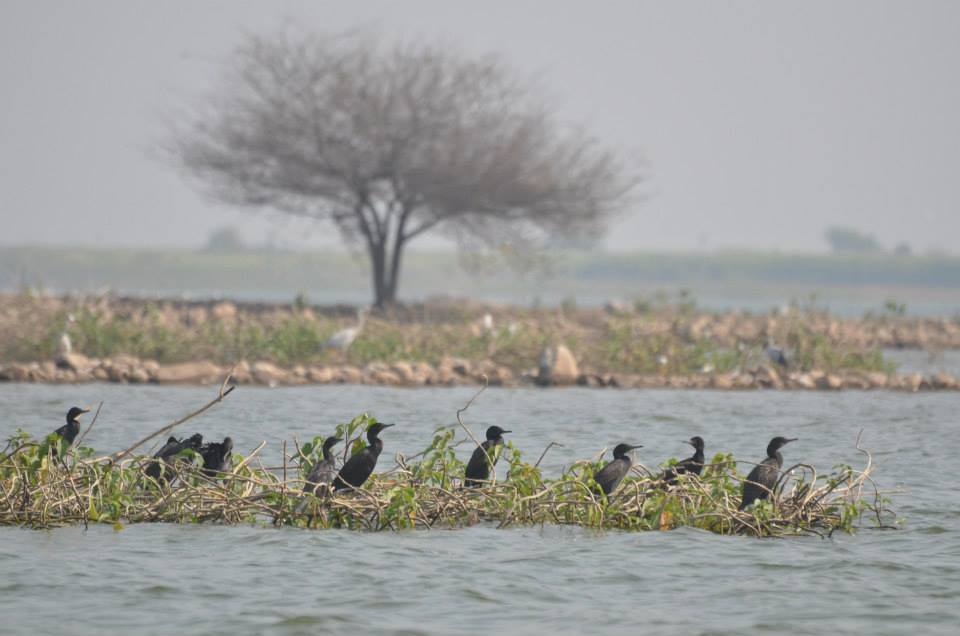 Photo of Palaseo - Uncertain and surprising 1/27 by Sarthak Anil Phatak