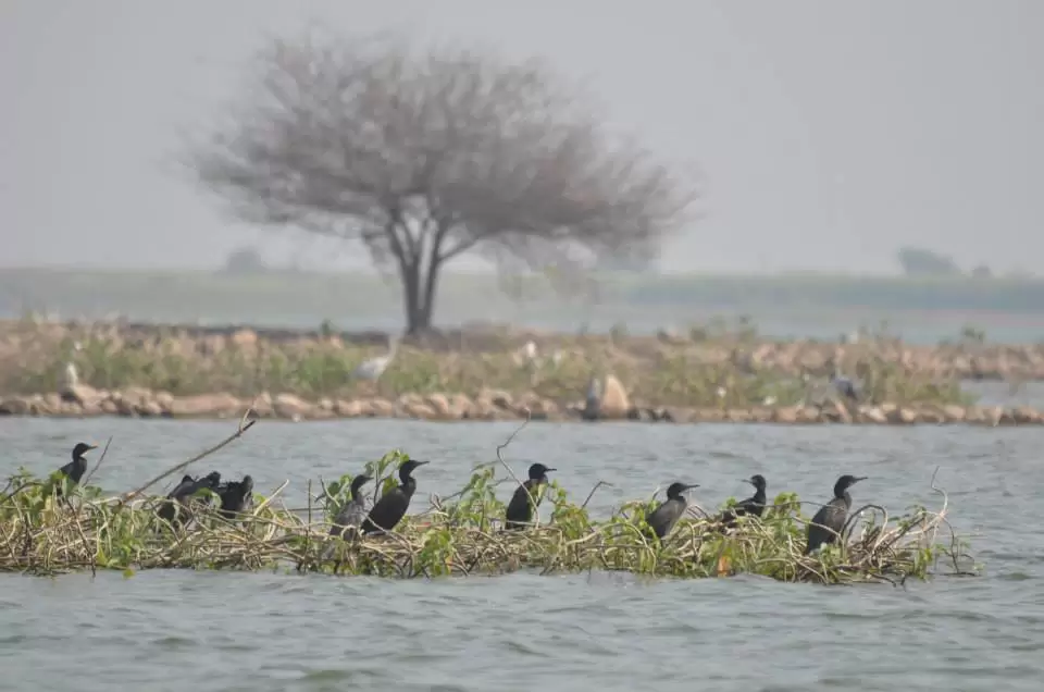 Photo of Palasdev, Maharashtra, India by Sarthak Anil Phatak