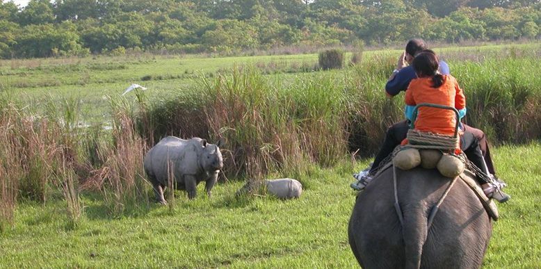 Photo of North-East Diaries- Kaziranga National Park 6/46 by Rachit Pathak