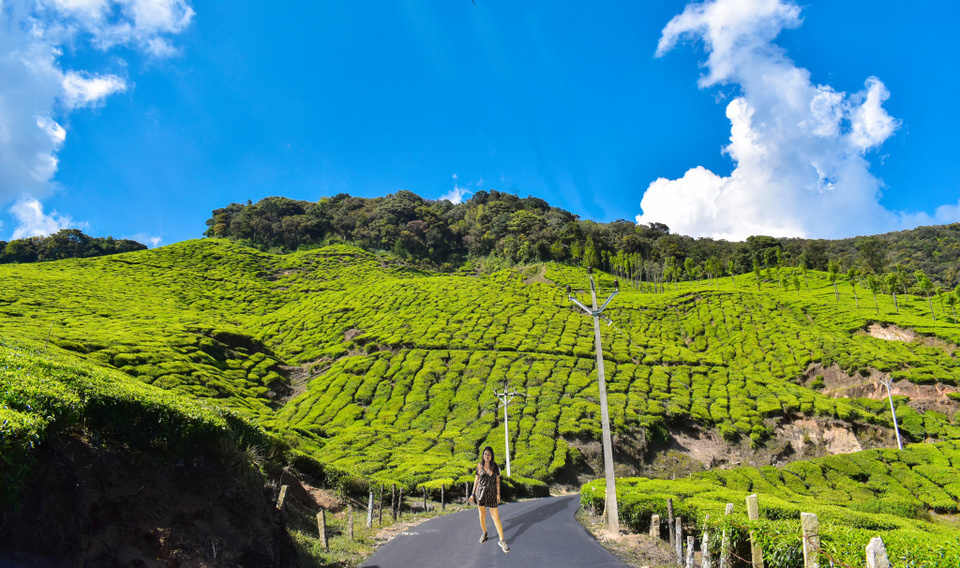 Photo of Trip to Kerala- God's Own Country 8/14 by Harsha