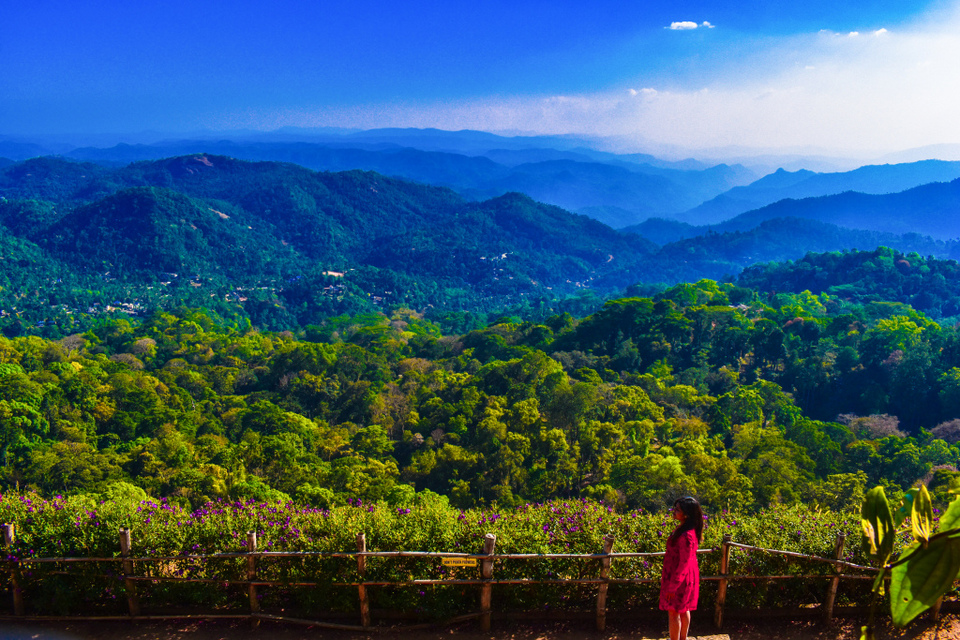 Photo of Trip to Kerala- God's Own Country 9/14 by Harsha