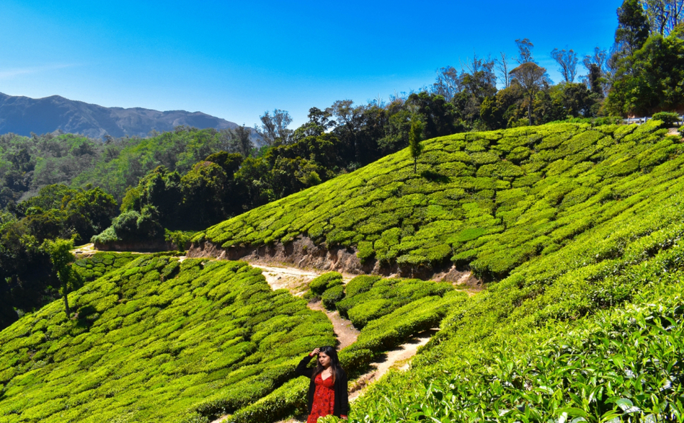Photo of Trip to Kerala- God's Own Country 7/14 by Harsha