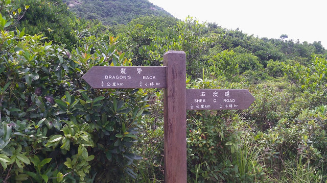 Photo of Hong Kong: The Marvellous Megalopolis 10/15 by Cobblestone Chronicles