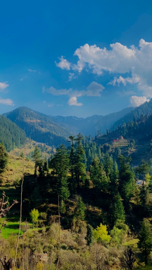 Photo of Jibhi: The Road Less Travelled! 4/27 by Cobblestone Chronicles
