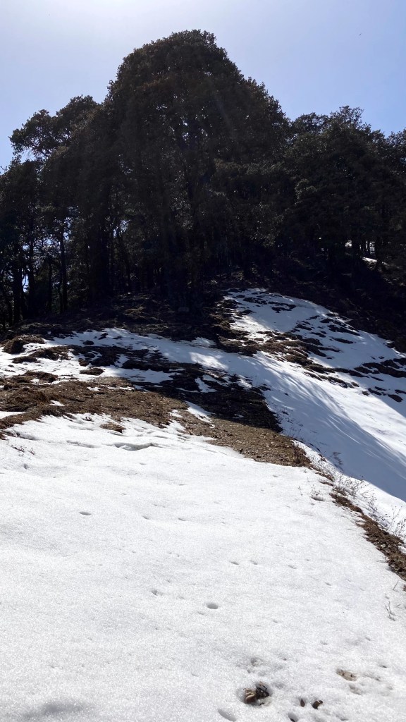 Photo of Jibhi: The Road Less Travelled! 12/27 by Cobblestone Chronicles