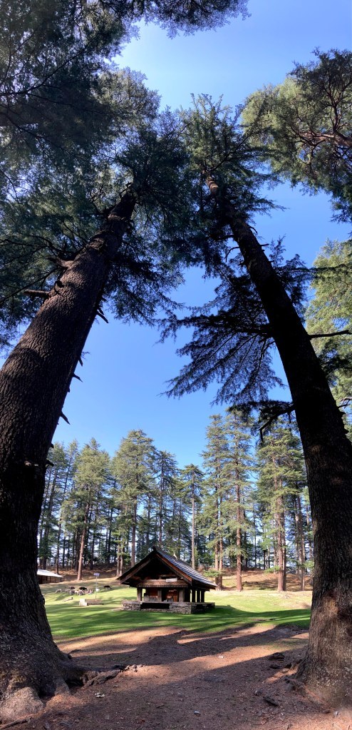 Photo of Jibhi: The Road Less Travelled! 19/27 by Cobblestone Chronicles
