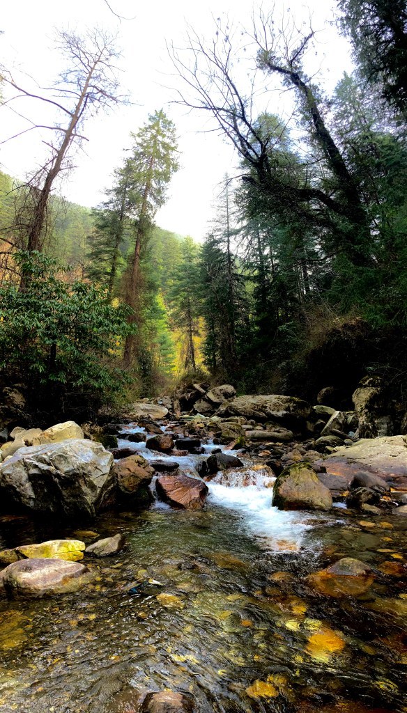 Photo of Jibhi: The Road Less Travelled! 21/27 by Cobblestone Chronicles