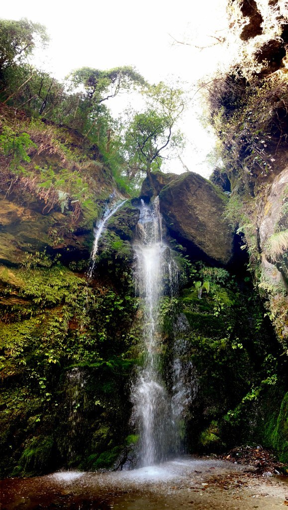 Photo of Jibhi: The Road Less Travelled! 25/27 by Cobblestone Chronicles