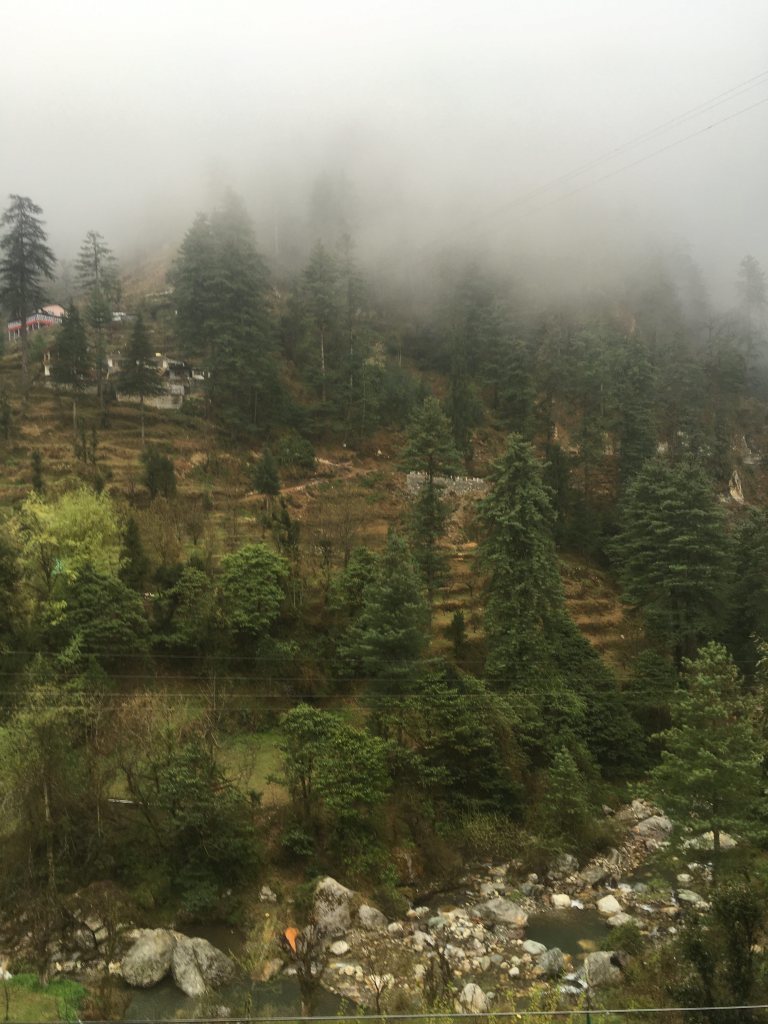 Photo of Jibhi: The Road Less Travelled! 26/27 by Cobblestone Chronicles