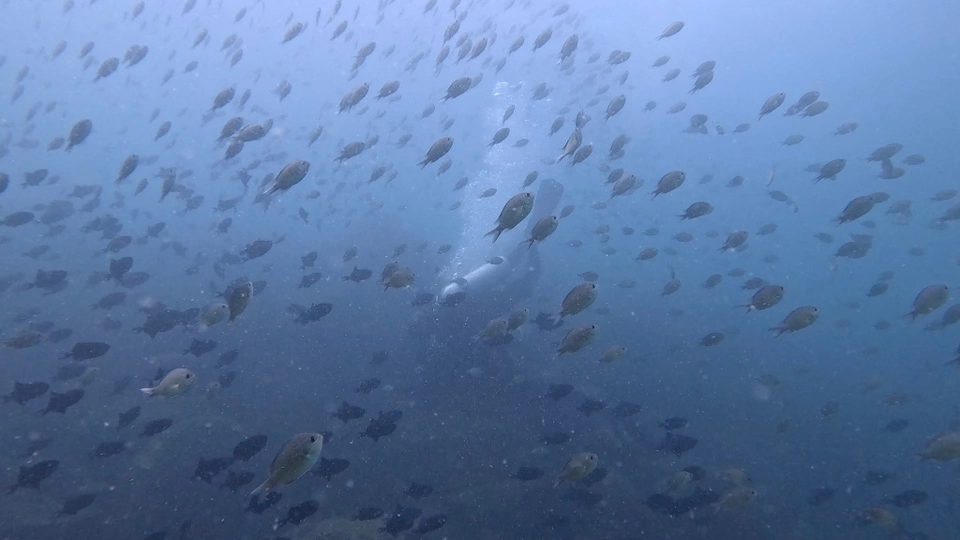 Photo of The Ocean Heard What the Temple Couldn't by Anvitha G Bellamane