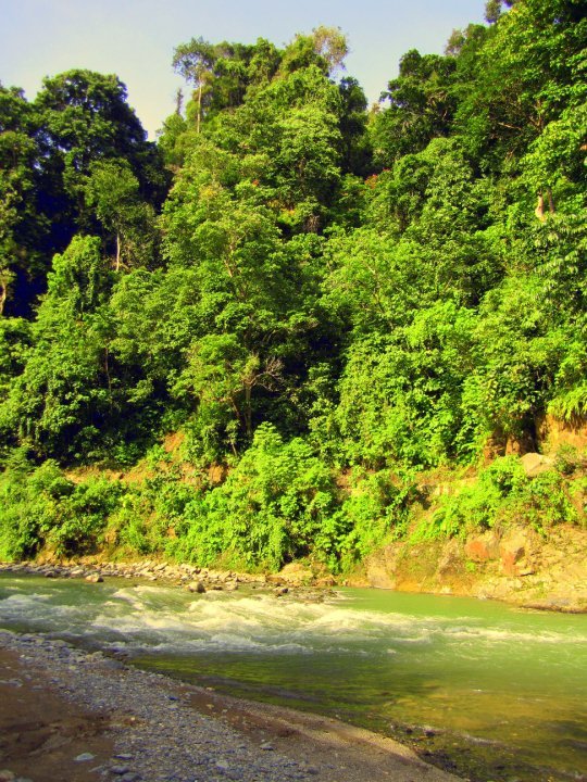 Photo of Indonesia - Bukit Lawang, Yogyakarta, Bali by Sasha Menon
