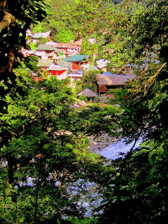 Photo of Indonesia - Bukit Lawang, Yogyakarta, Bali by Sasha Menon