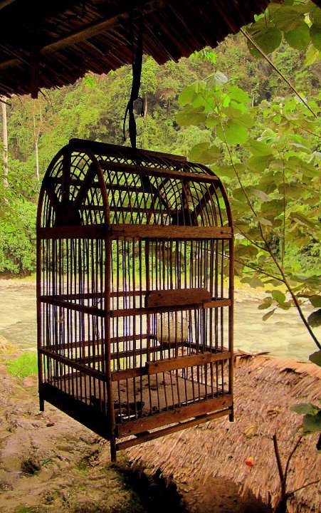 Photo of Indonesia - Bukit Lawang, Yogyakarta, Bali by Sasha Menon