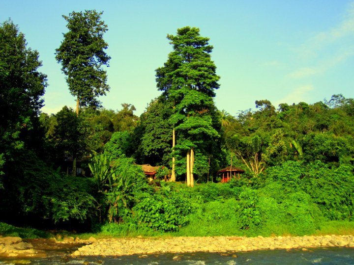Photo of Indonesia - Bukit Lawang, Yogyakarta, Bali by Sasha Menon