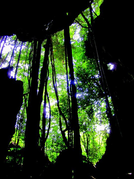 Photo of Indonesia - Bukit Lawang, Yogyakarta, Bali by Sasha Menon