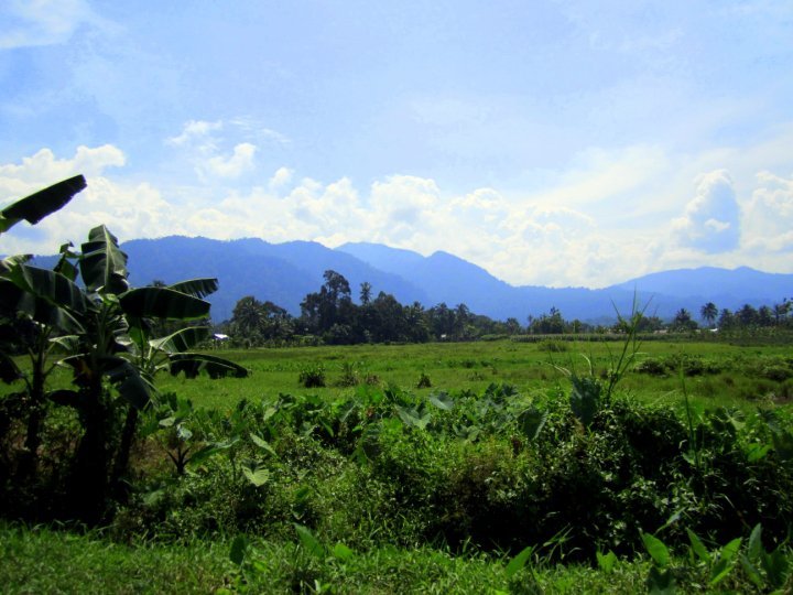 Photo of Indonesia - Bukit Lawang, Yogyakarta, Bali by Sasha Menon