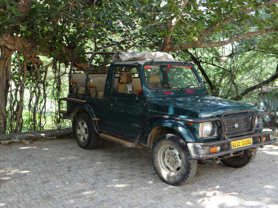 Photo of #Sariska #National_Park - A Versatile #Tourist Destination by DIGITAL WOMEN