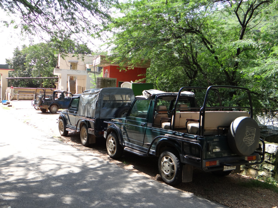 Photo of #Sariska #National_Park - A Versatile #Tourist Destination by DIGITAL WOMEN