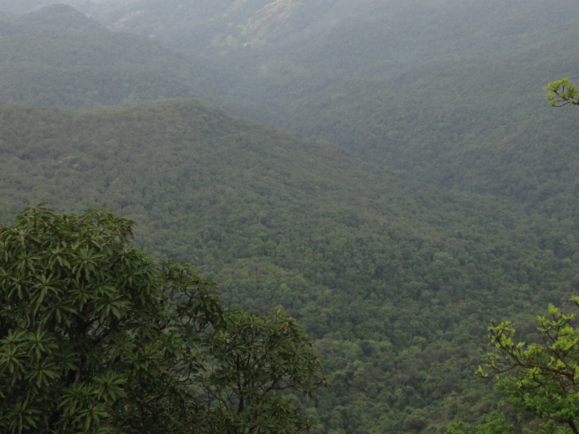 Photo of Amboli, Maharashtra, India by flyin traveller