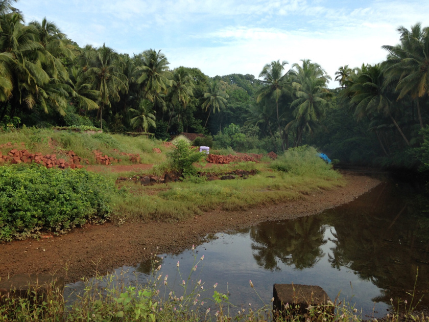 Photo of Weekend getaways from Mumbai by flyin traveller