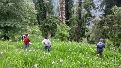 Photo of Jalori Pass, Jalori, Sajwar, Himachal Pradesh by Aishwarya J Nair
