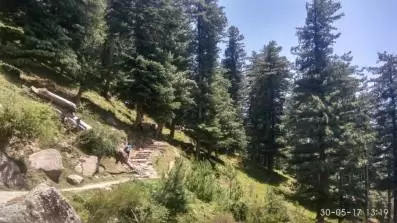 Photo of Jalori Pass, Jalori, Sajwar, Himachal Pradesh by Aishwarya J Nair