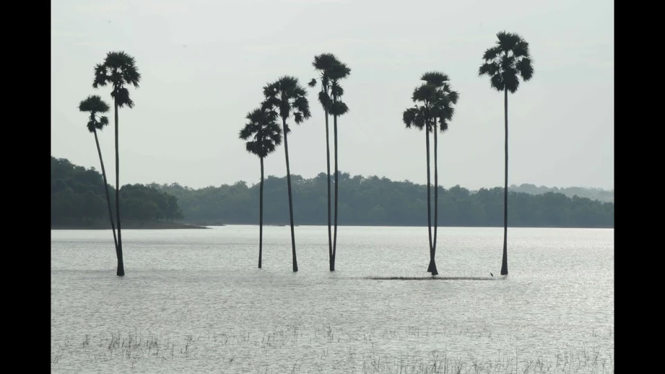 Photo of Malampuzha - Kava - Anakkallu Road, Pudussery West, Kerala, India by Aishwarya J Nair