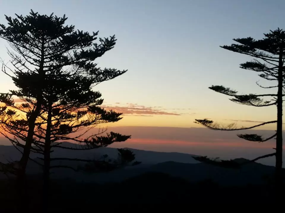 Photo of Sandakphu, Sandakfu, West Bengal, India by Madhumita Das