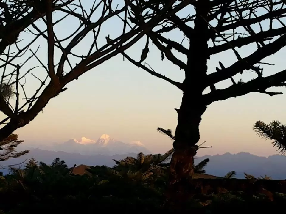 Photo of Sandakphu, Sandakfu, West Bengal, India by Madhumita Das