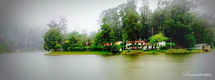 Photo of Kodaikanal Ghat Rd, Kodaikanal, Tamil Nadu 624101, India by Hanan Becker
