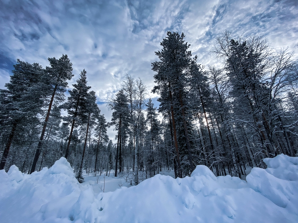 Photo of Lapland, Finland by Pooja Prasad