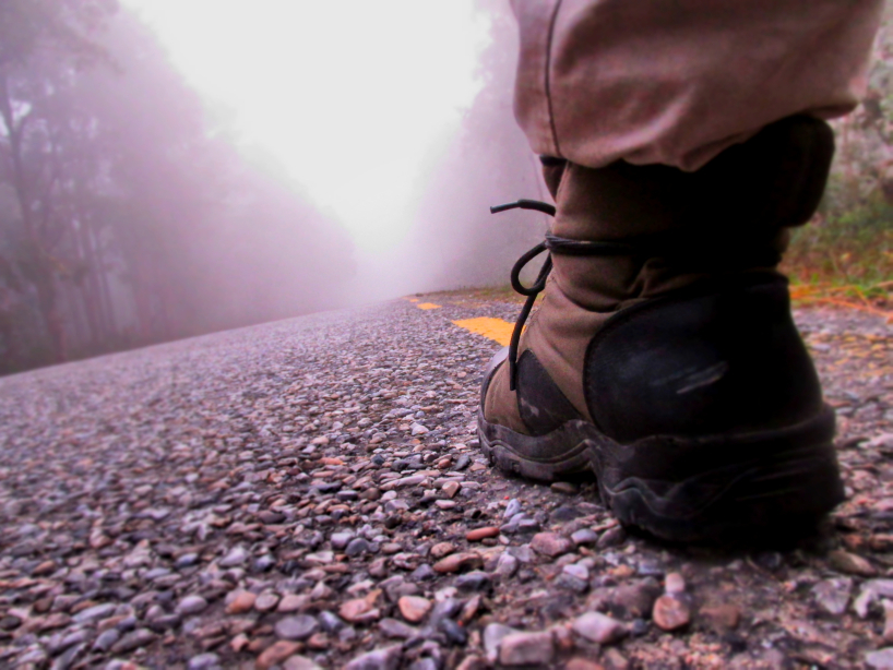 Photo of The Road Trip- 4500 km on a Motorcycle by nickthevagabond