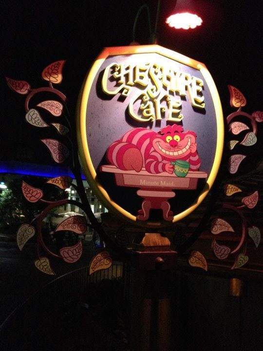 Photo of Walt Disney World Resort, Orlando, FL, United States by Banjara