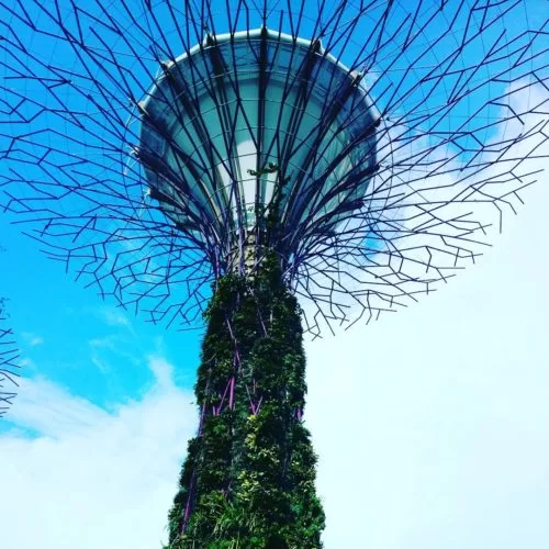 Photo of Singapore by Explorenbite