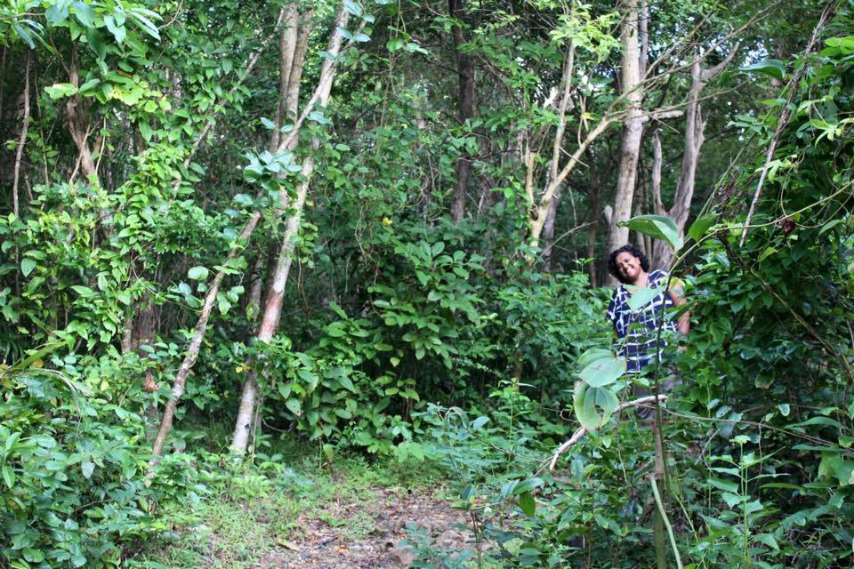 Photo of Exploring the Andamans with a gal pal 3/21 by MJ
